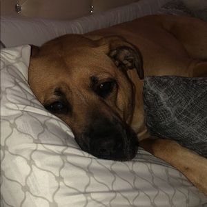 Meet your Posher, Maegen